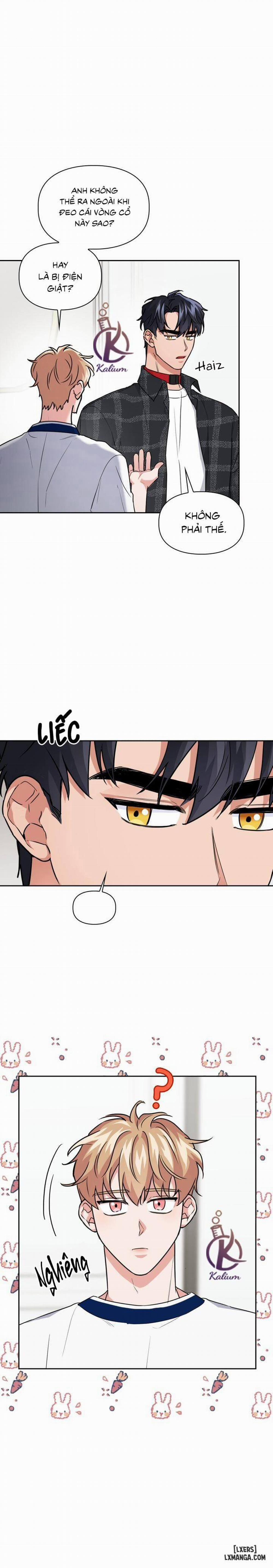 Mồi nhử 36 trang 5