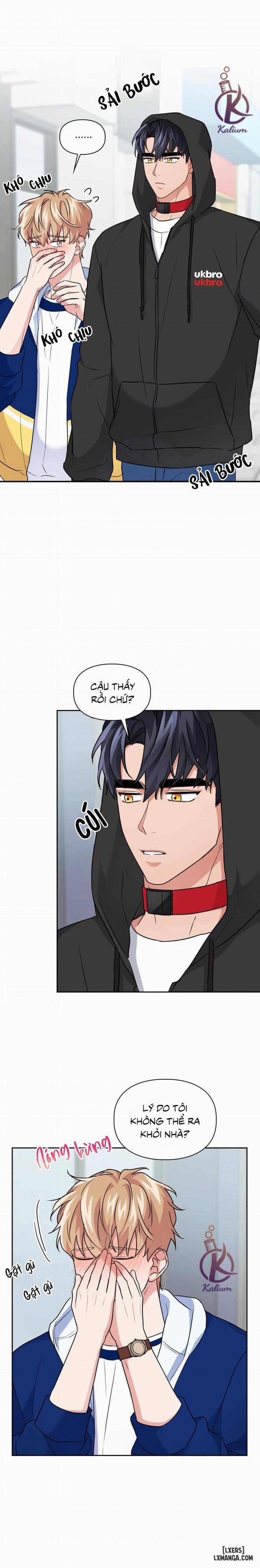 Mồi nhử 36 trang 8