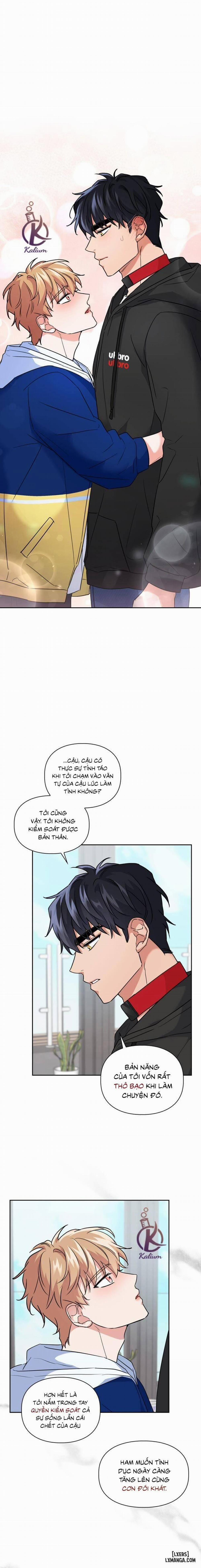 Mồi nhử 37 trang 0