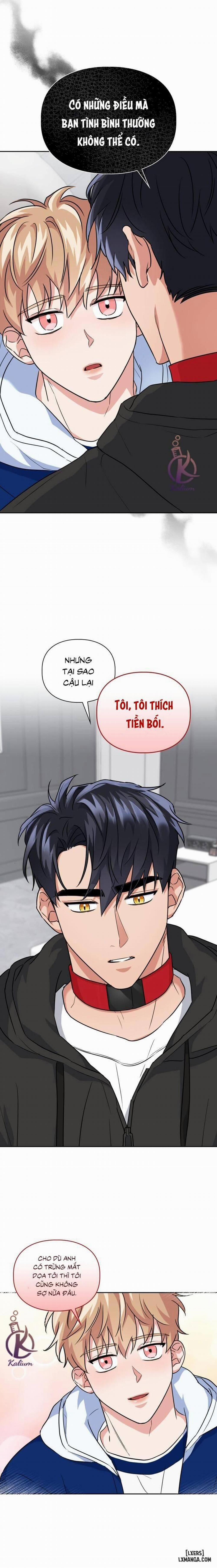 Mồi nhử 37 trang 1