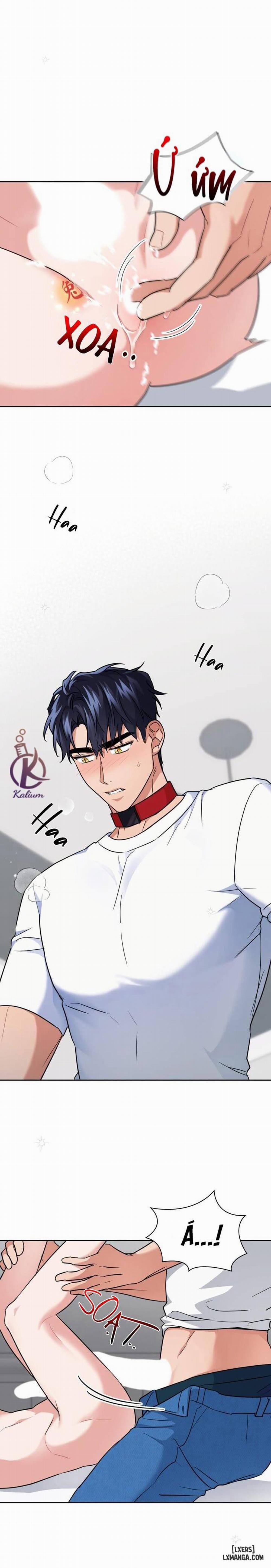 Mồi nhử 37 trang 11