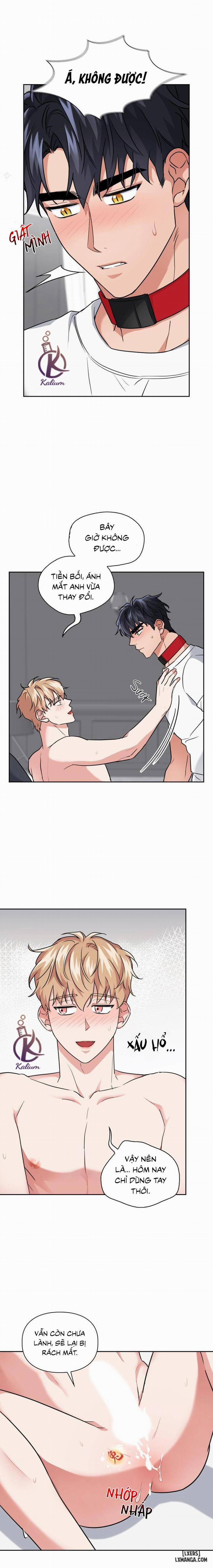 Mồi nhử 37 trang 12