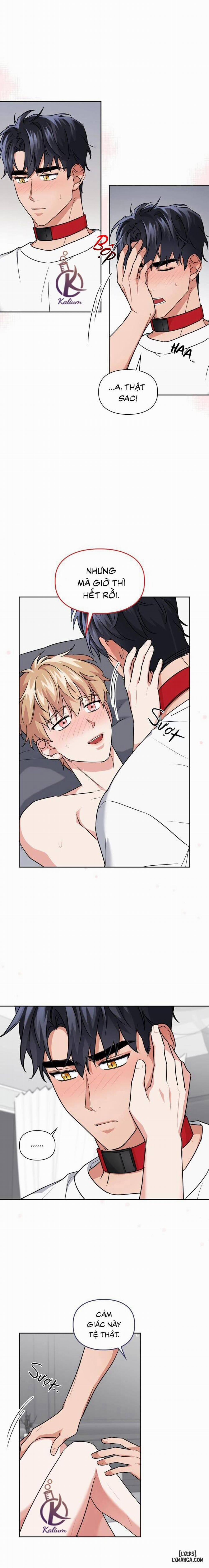 Mồi nhử 37 trang 13