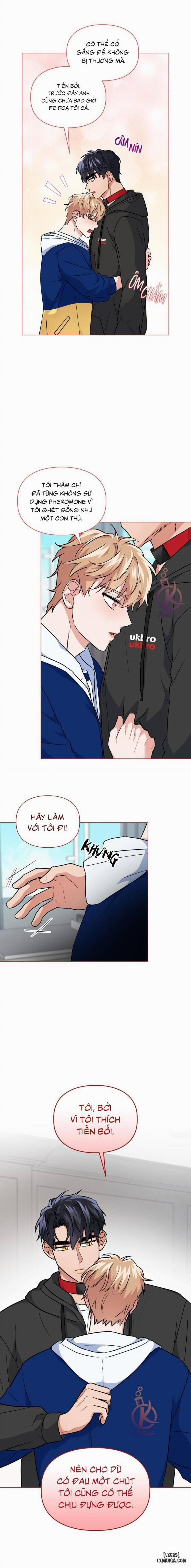 Mồi nhử 37 trang 2