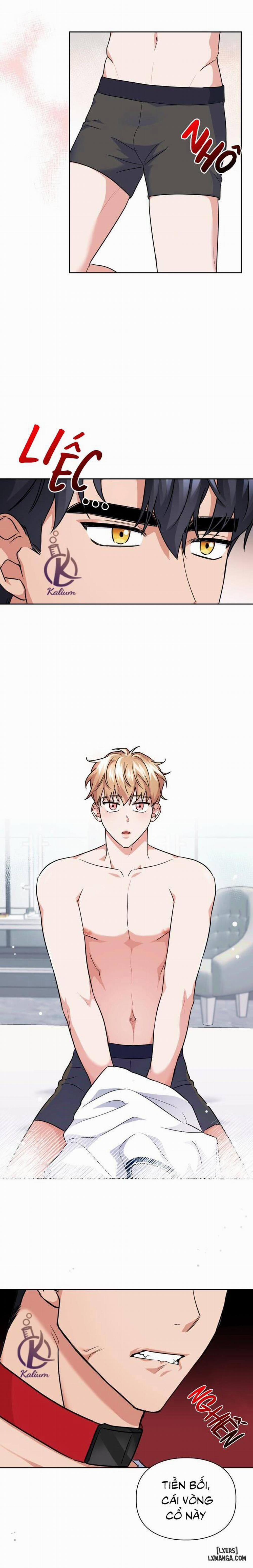 Mồi nhử 37 trang 4