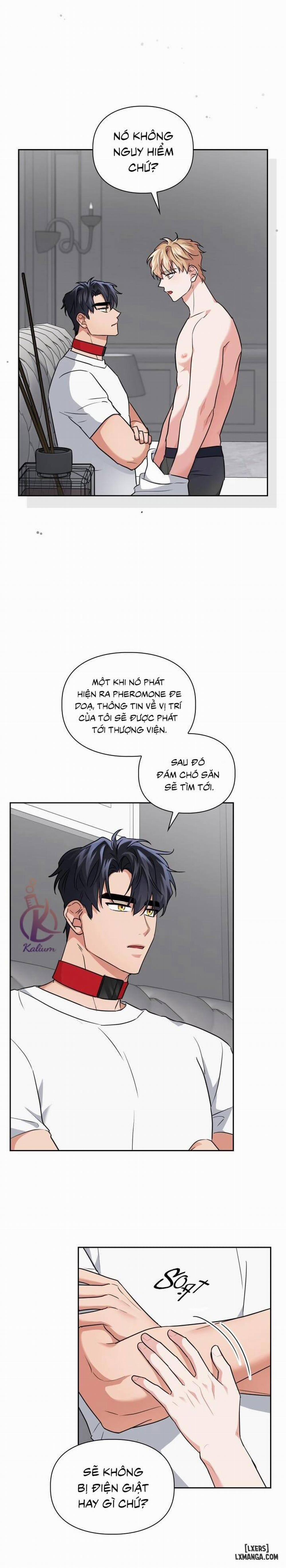 Mồi nhử 37 trang 5