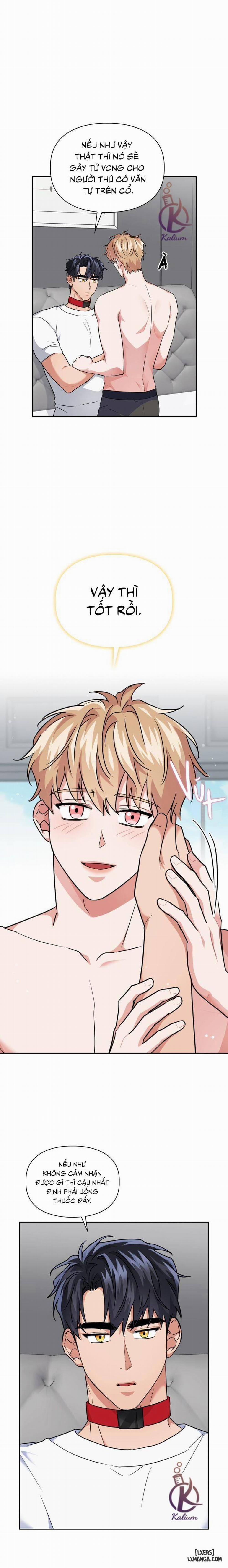 Mồi nhử 37 trang 6