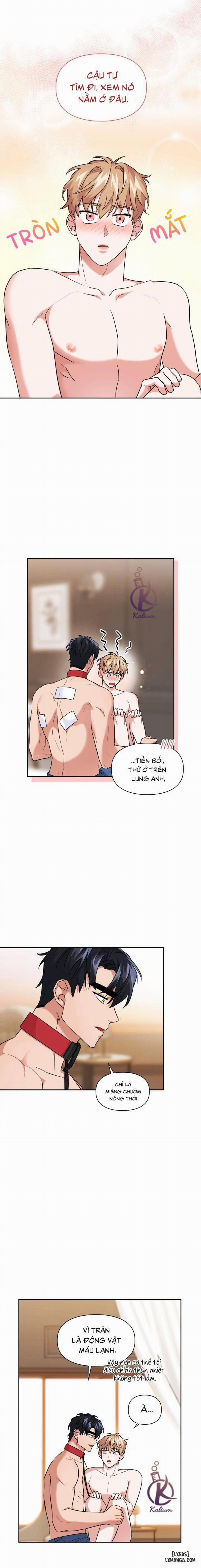 Mồi nhử 39 trang 1