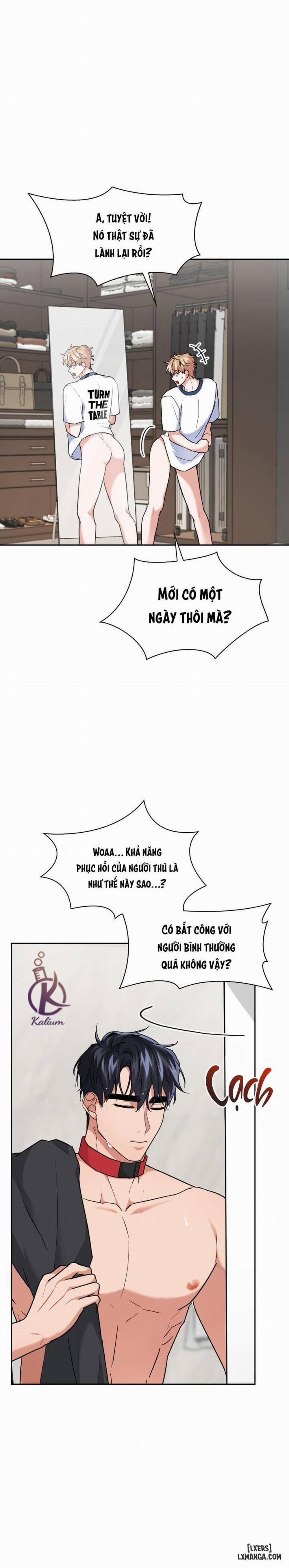 Mồi nhử 39 trang 10