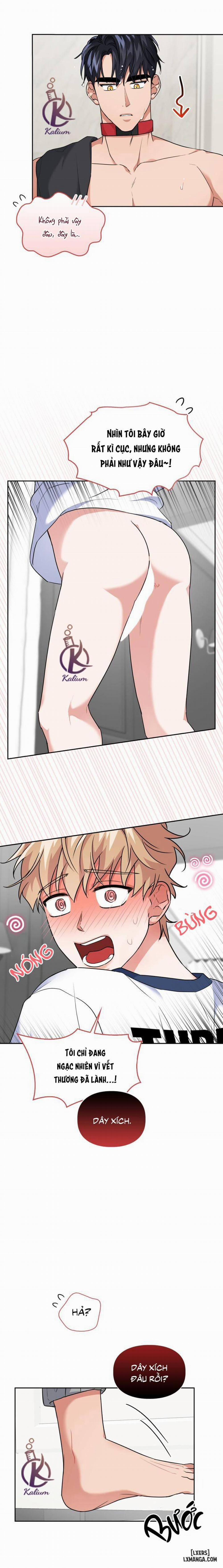 Mồi nhử 39 trang 12