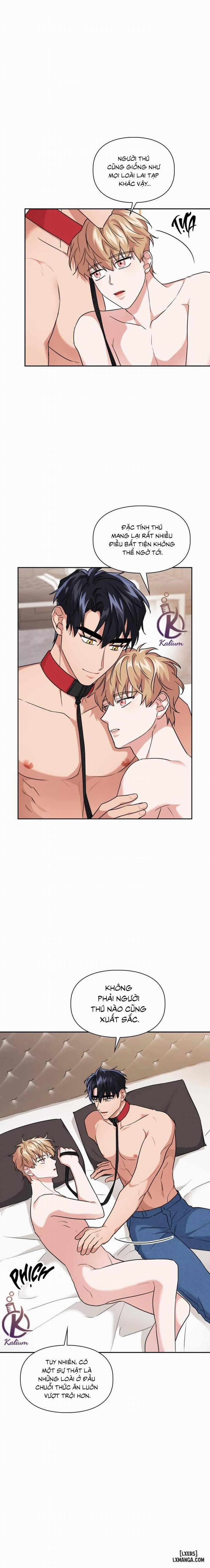 Mồi nhử 39 trang 2