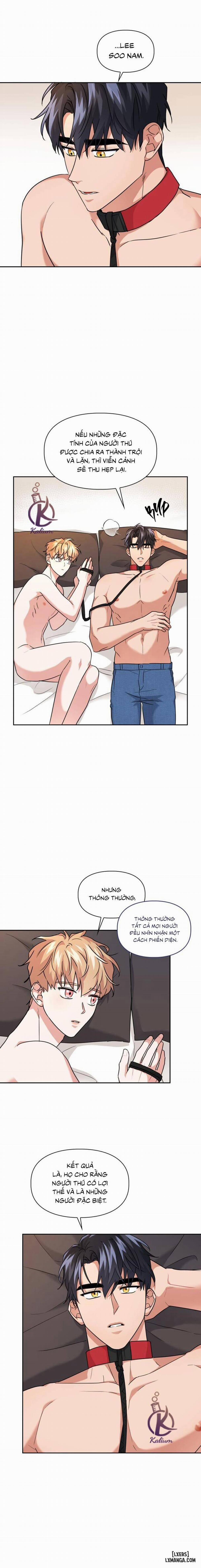 Mồi nhử 39 trang 3