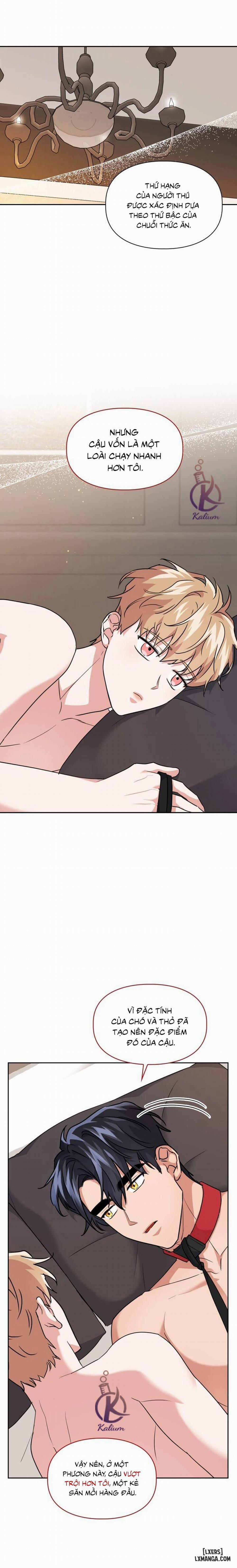 Mồi nhử 39 trang 4