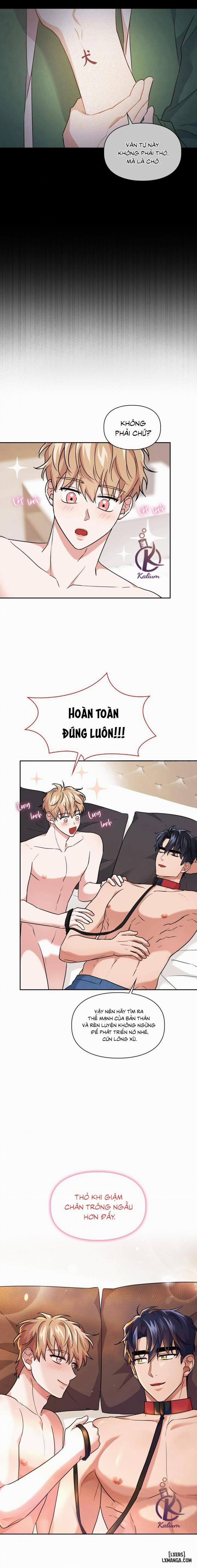 Mồi nhử 39 trang 6