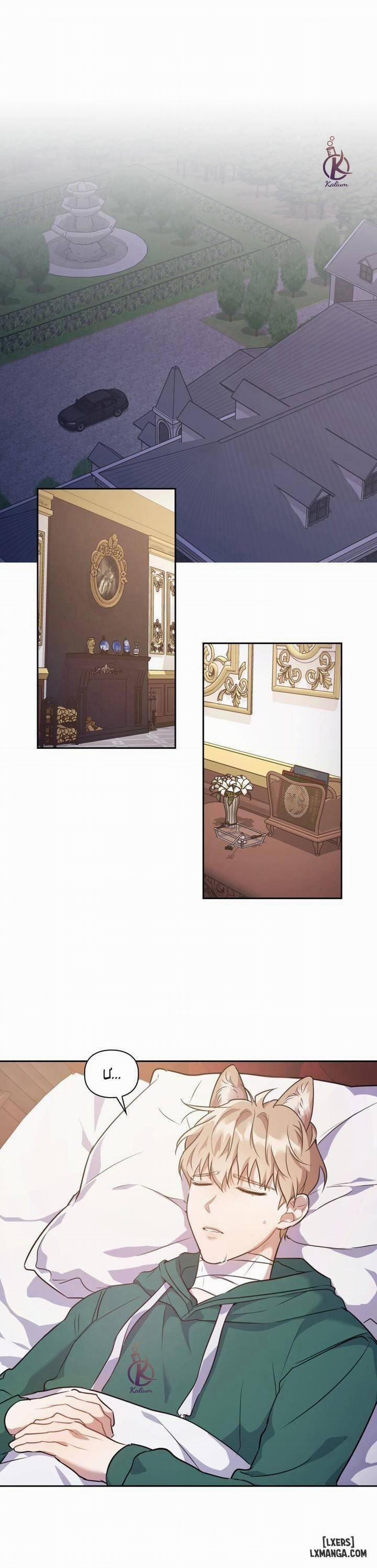 Mồi nhử 4 trang 0