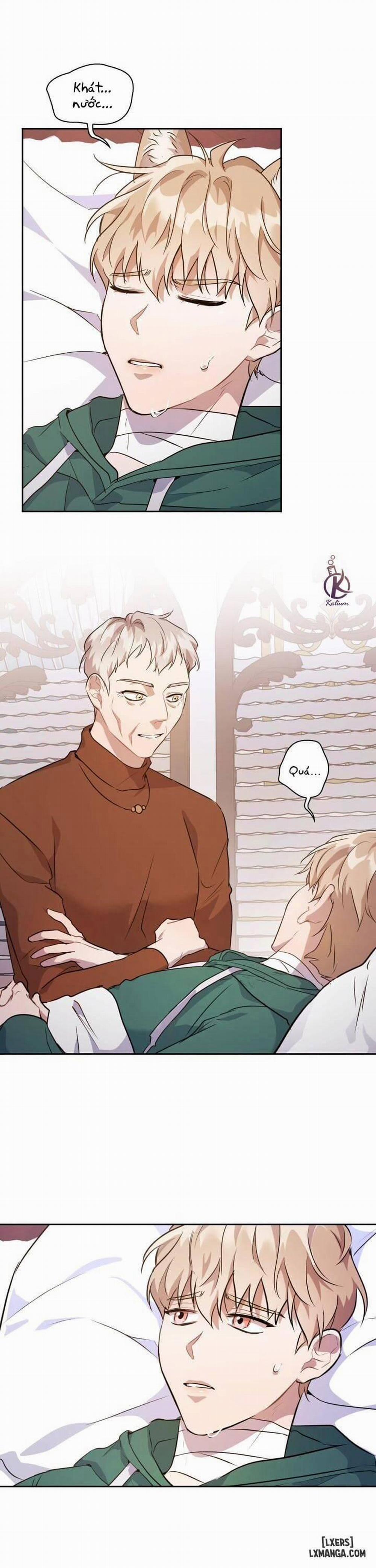 Mồi nhử 4 trang 1