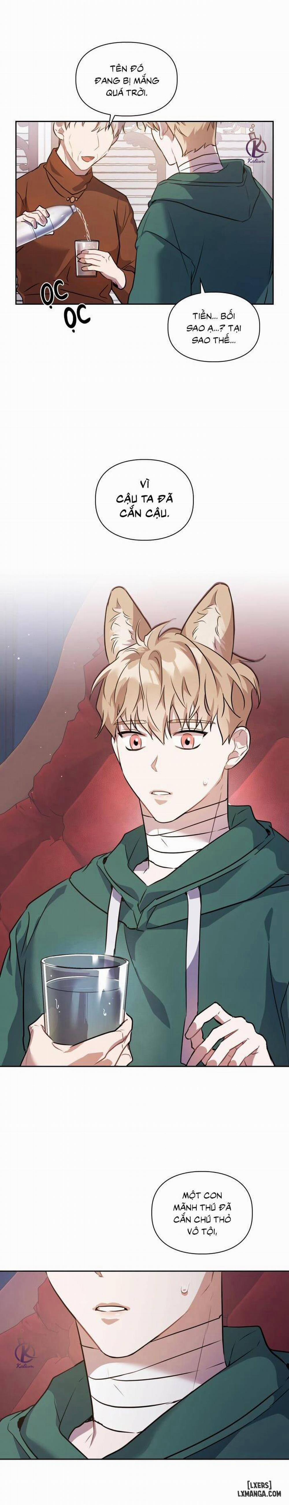 Mồi nhử 4 trang 4