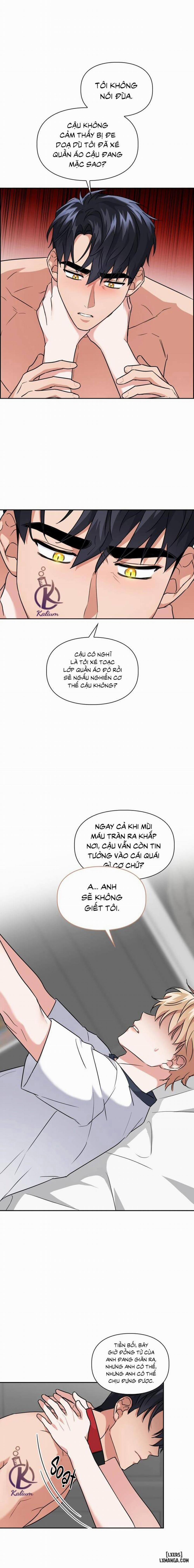 Mồi nhử 40 trang 6