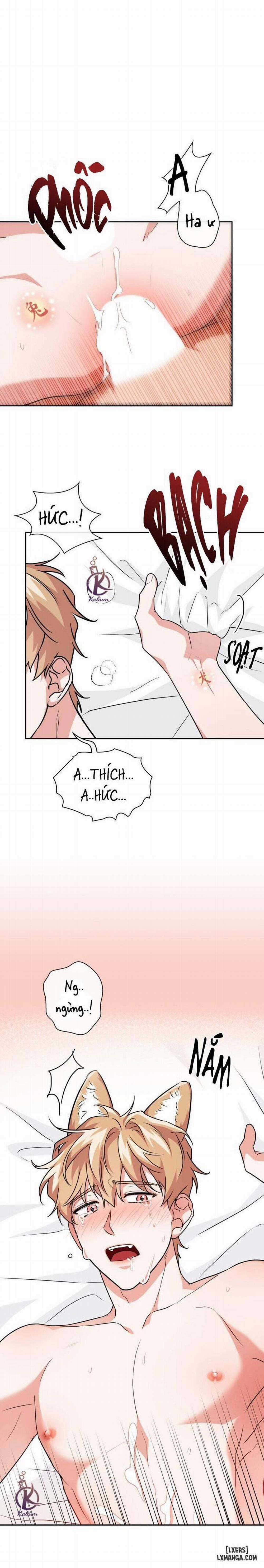 Mồi nhử 41 trang 11