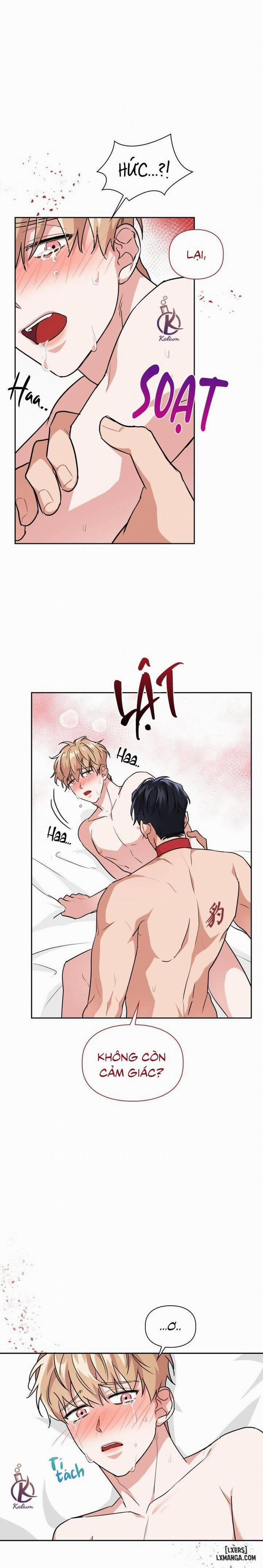 Mồi nhử 41 trang 2