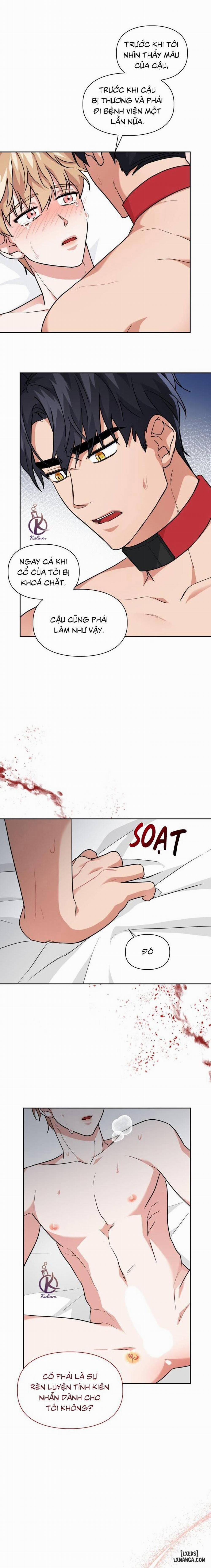 Mồi nhử 41 trang 4