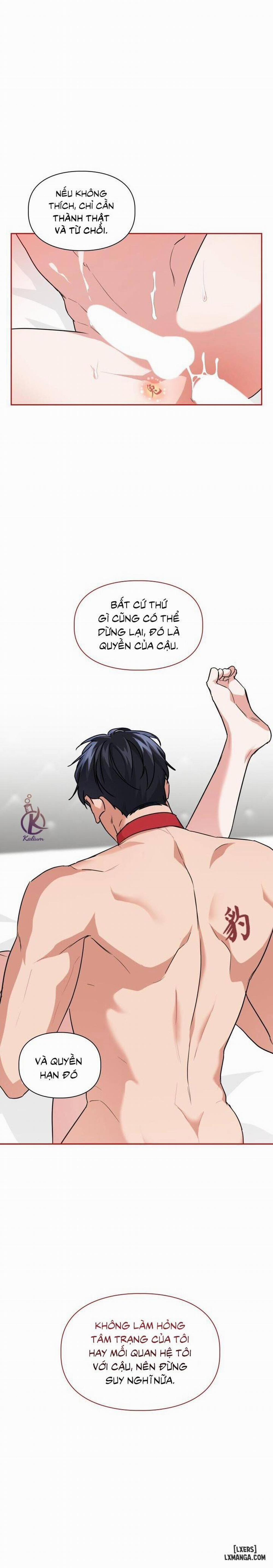 Mồi nhử 41 trang 8