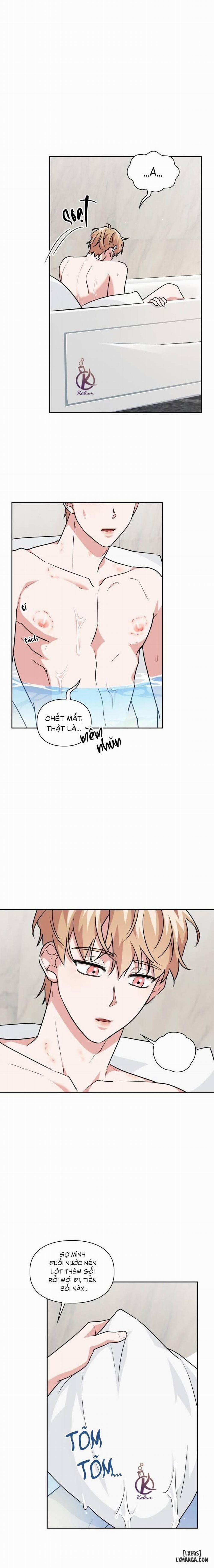 Mồi nhử 42 trang 1