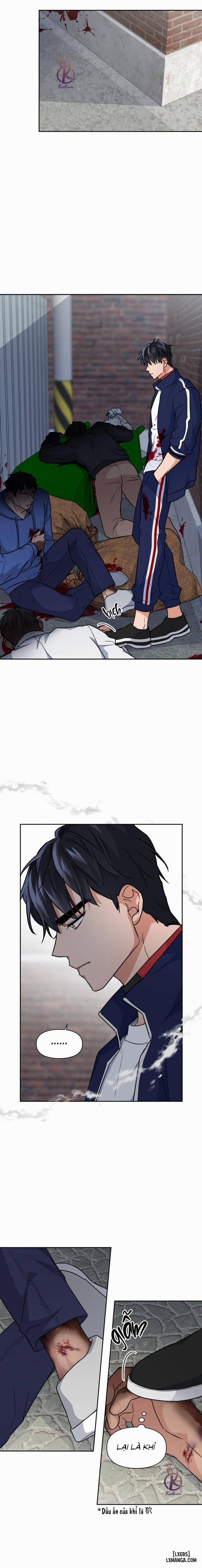 Mồi nhử 42 trang 4