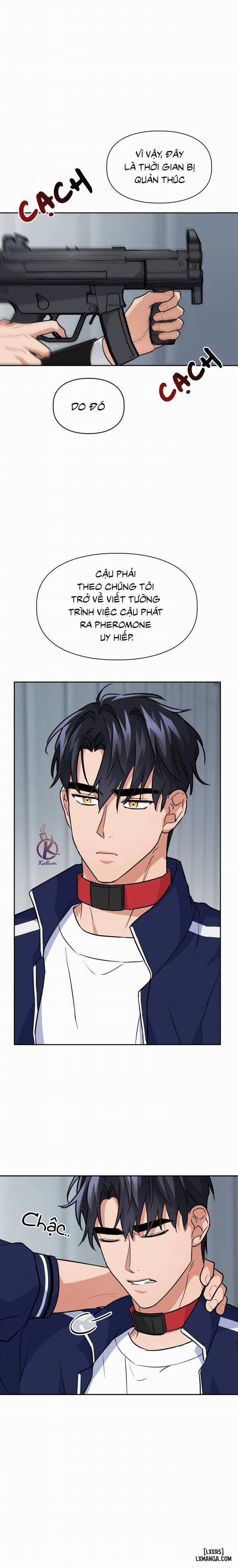 Mồi nhử 42 trang 7