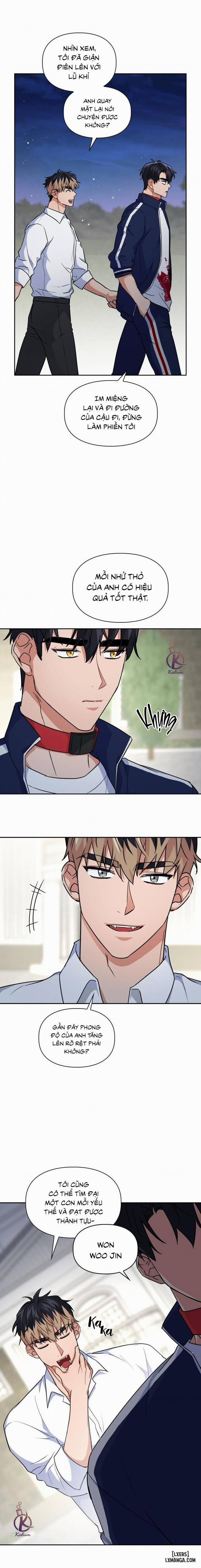 Mồi nhử 43 trang 11