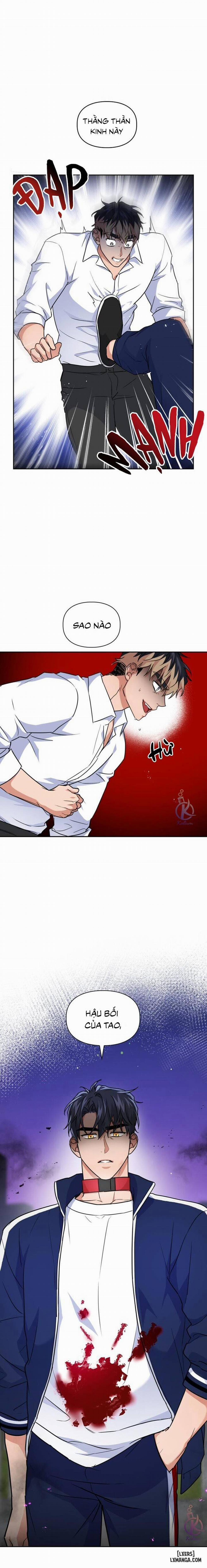 Mồi nhử 43 trang 12