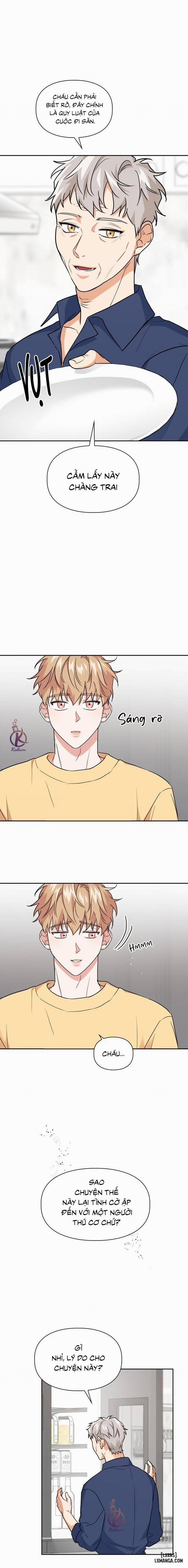 Mồi nhử 43 trang 3