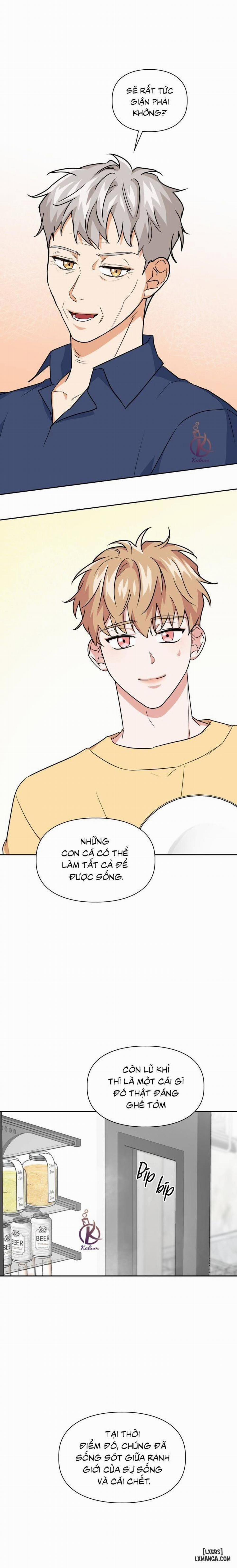 Mồi nhử 43 trang 5