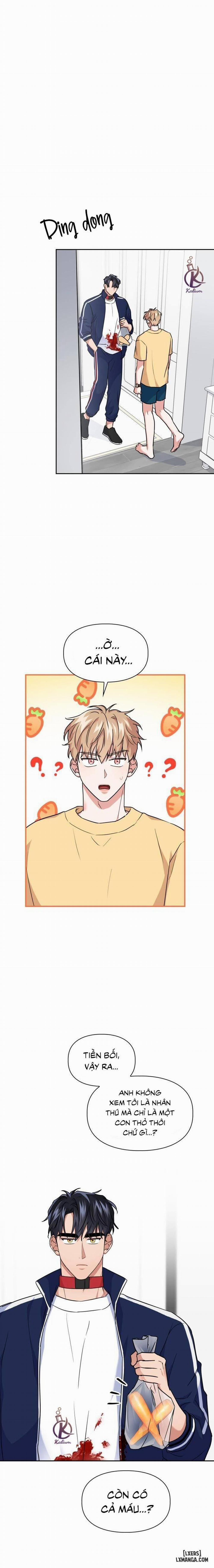 Mồi nhử 44 trang 0