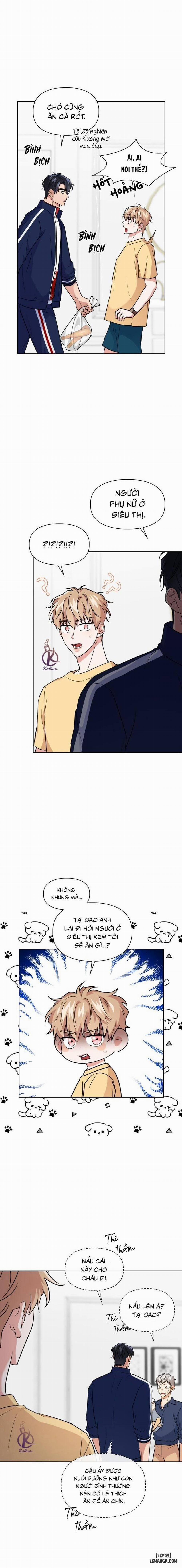 Mồi nhử 44 trang 1