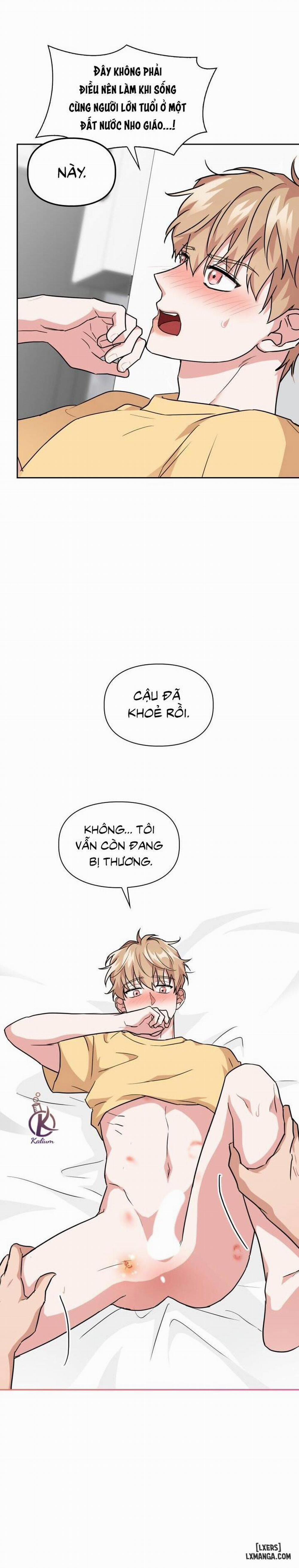 Mồi nhử 44 trang 14