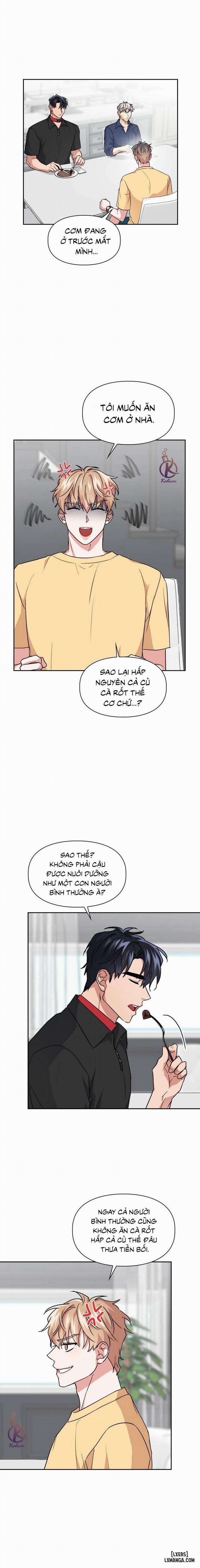 Mồi nhử 44 trang 3