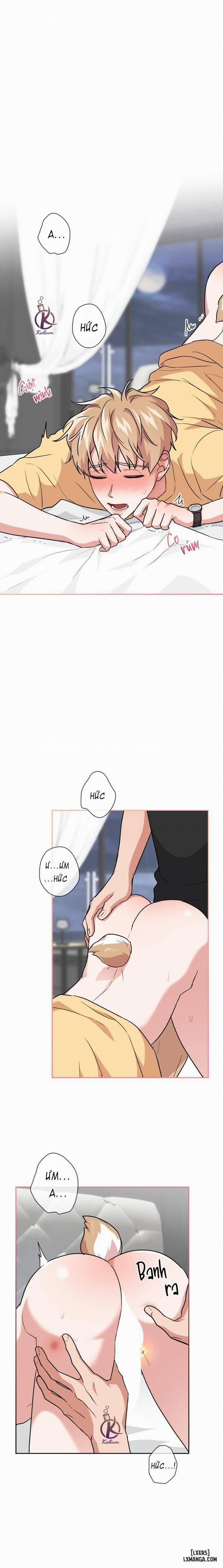 Mồi nhử 45 trang 0