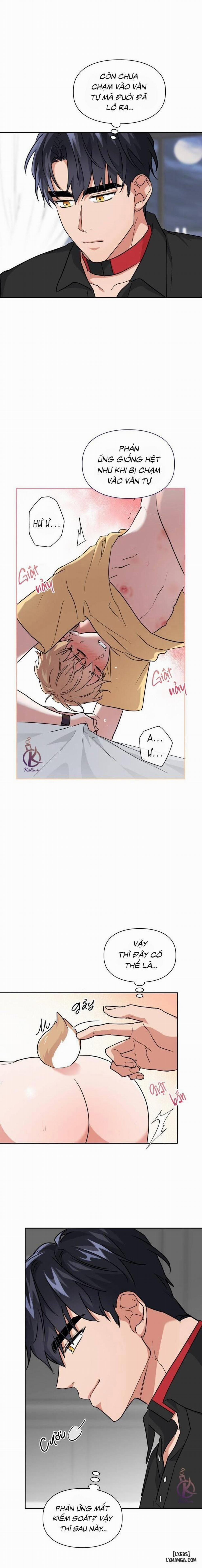 Mồi nhử 45 trang 1