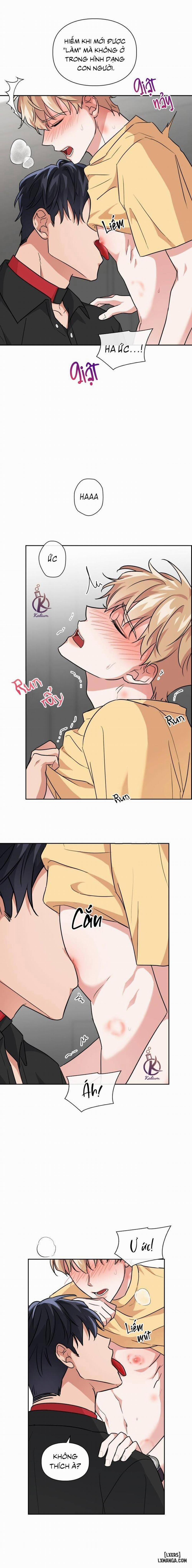 Mồi nhử 45 trang 11