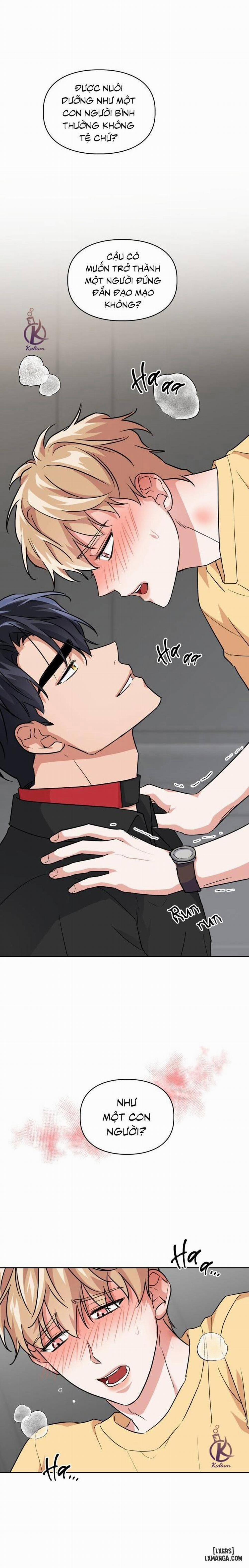 Mồi nhử 45 trang 12