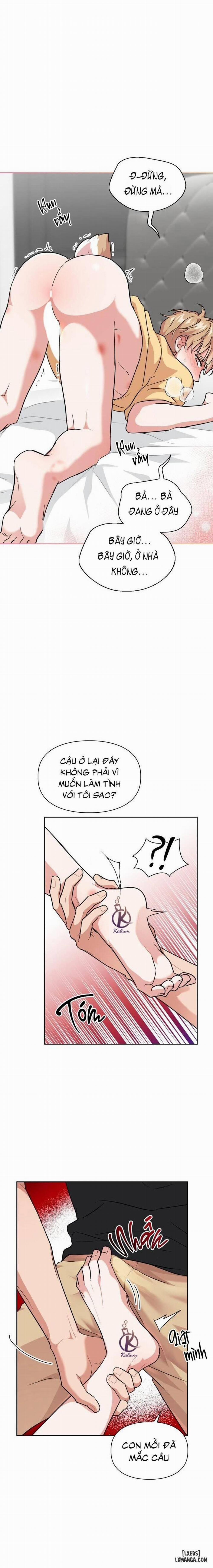 Mồi nhử 45 trang 2