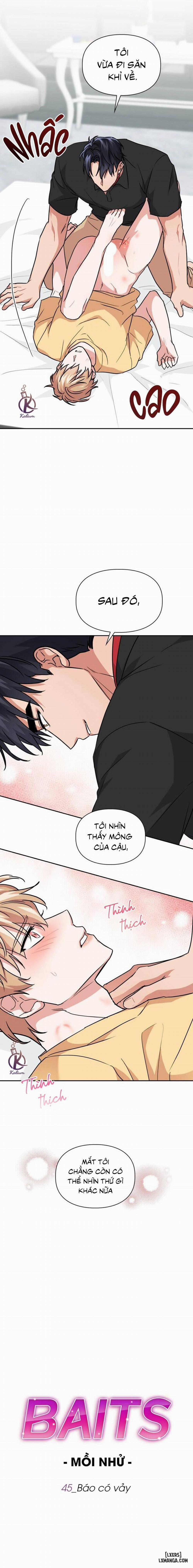 Mồi nhử 45 trang 4