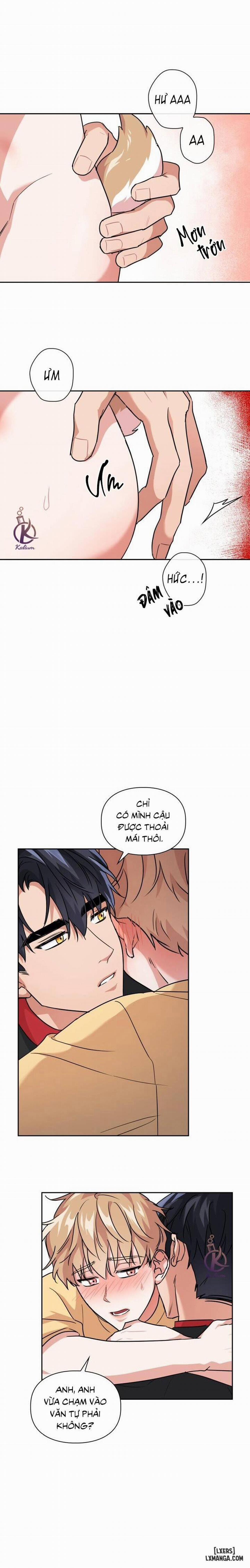 Mồi nhử 45 trang 6