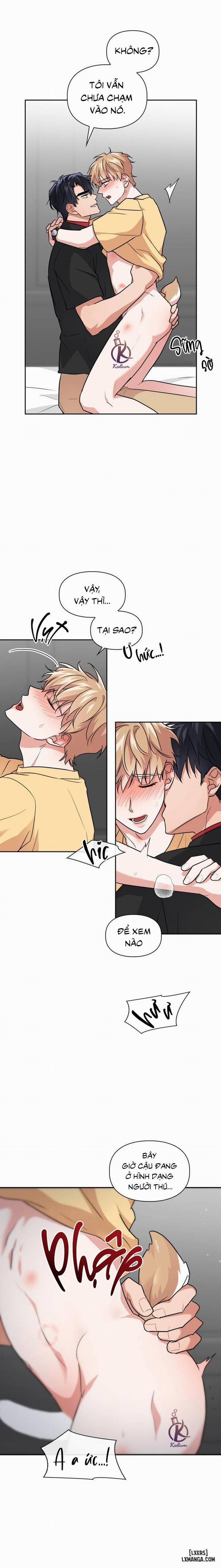 Mồi nhử 45 trang 7