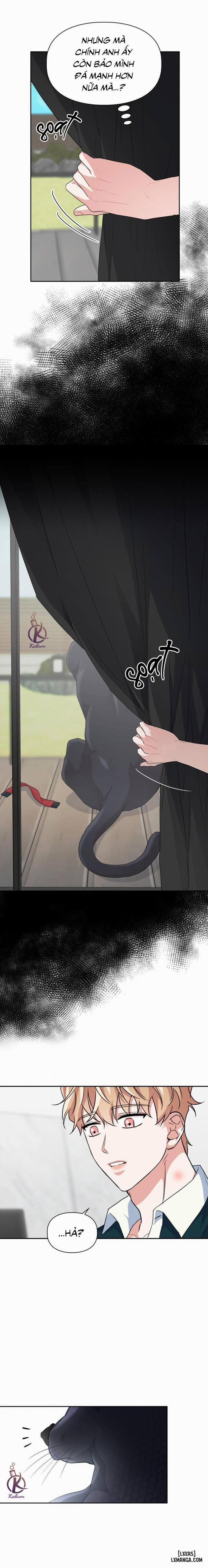 Mồi nhử 46 trang 13