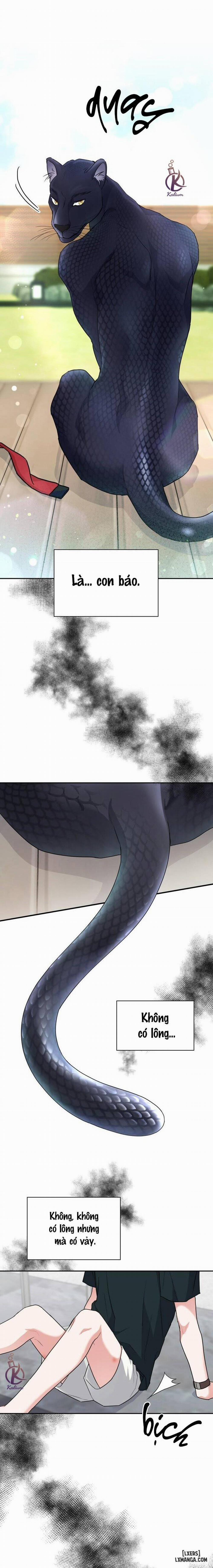 Mồi nhử 46 trang 14