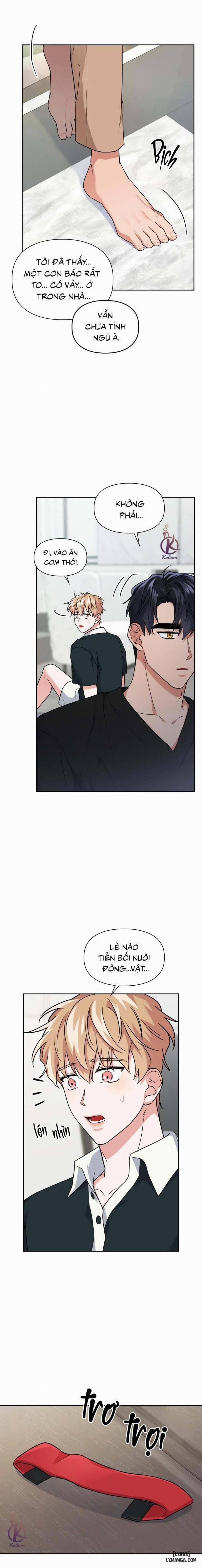 Mồi nhử 47 trang 1