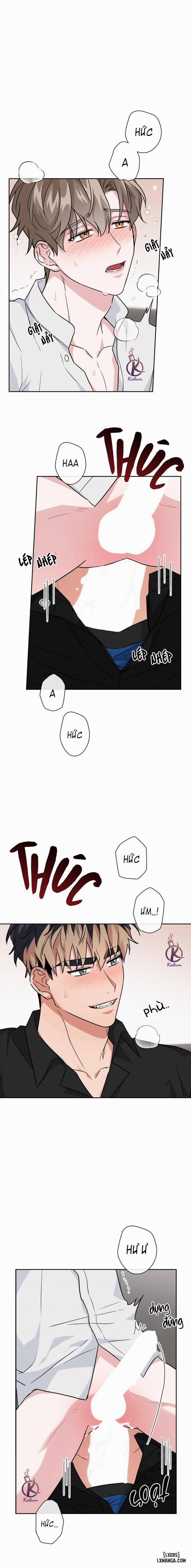 Mồi nhử 48 trang 10