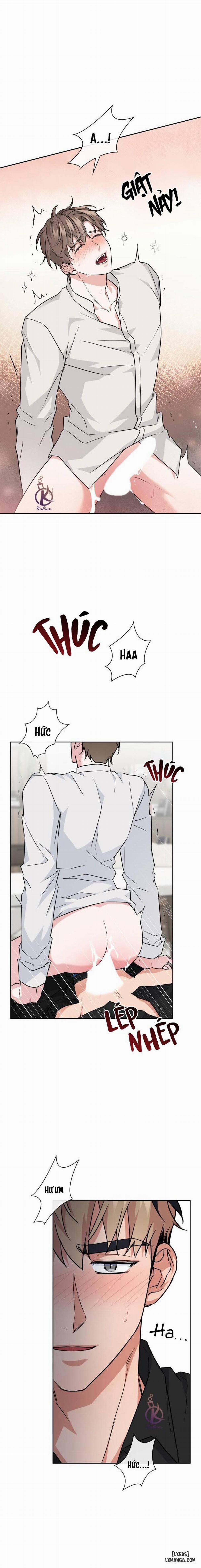 Mồi nhử 48 trang 11